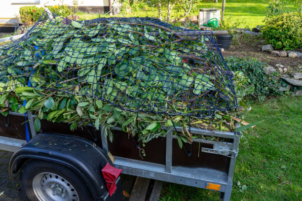 Best Hoarding Cleanup  in Albert Lea, MN